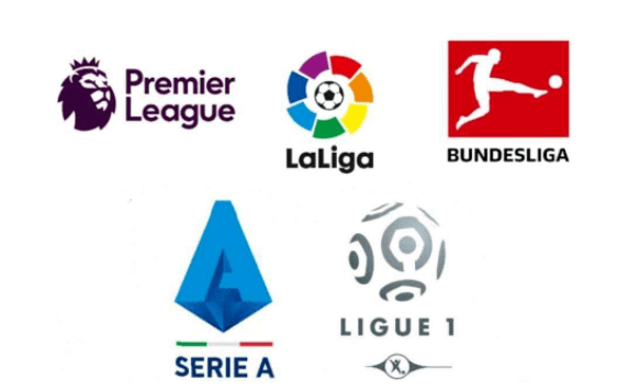 貝西不僅在 貝西不僅在